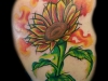 watercolorsunflower